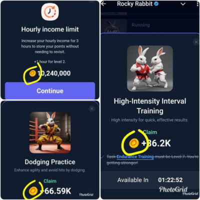 Daily Rocky Rabbit Easter Egg Solution 30 August 