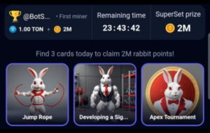 Daily Combo Rocky Rabbit for 29 August 