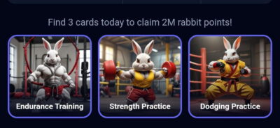 rocky rabbit superset combo for today