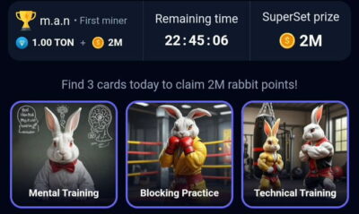 Rocky rabbit superset today