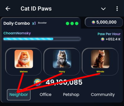 Cat ID Paws Daily Combo for today 11 September